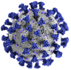virus-dezinfectie